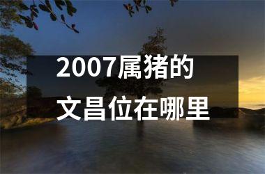 2007属猪的文昌位在哪里