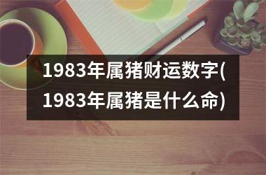 1983年属猪财运数字(1983年属猪是什么命)