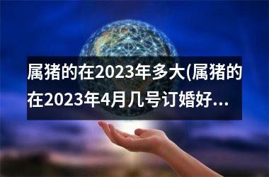 属猪的在2025年多大(属猪的在2025年4月几号订婚好)