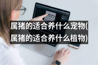 属猪的适合养什么宠物(属猪的适合养什么植物)