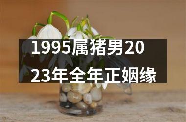 <h3>1995属猪男2025年全年正姻缘