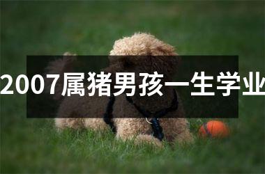 2007属猪男孩一生学业