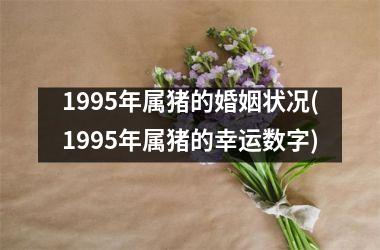 1995年属猪的婚姻状况(1995年属猪的幸运数字)