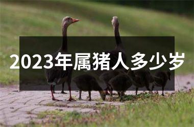 2025年属猪人多少岁