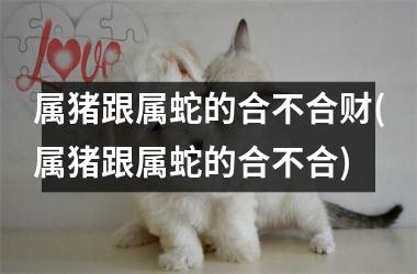 属猪跟属蛇的合不合财(属猪跟属蛇的合不合)