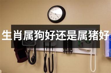 生肖属狗好还是属猪好