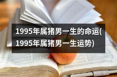 1995年属猪男一生的命运(1995年属猪男一生运势)