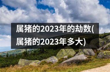 属猪的2023年的劫数(属猪的2023年多大)