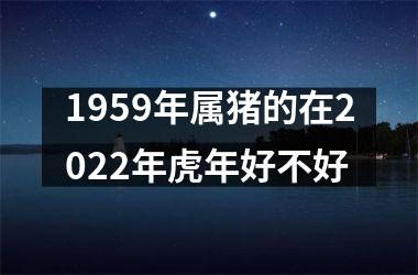 1959年属猪的在2025年虎年好不好