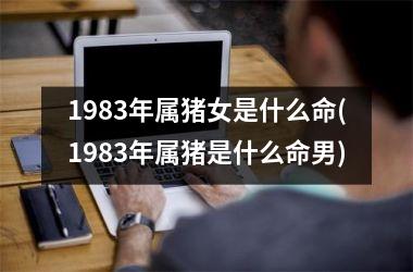 1983年属猪女是什么命(1983年属猪是什么命男)