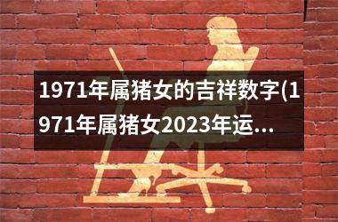 1971年属猪女的吉祥数字(1971年属猪女2025年运势及运程)