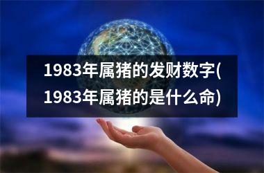 1983年属猪的发财数字(1983年属猪的是什么命)