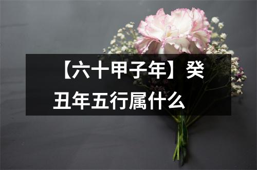 <h3>【六十甲子年】癸丑年五行属什么