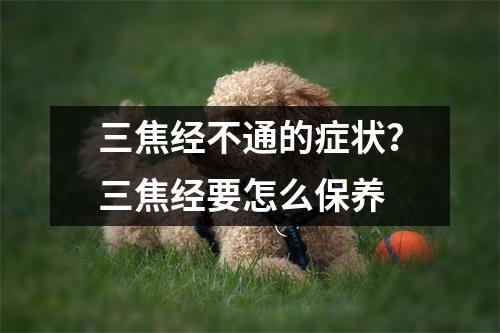 <h3>三焦经不通的症状？三焦经要怎么保养