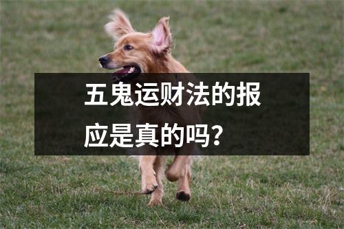 <h3>五鬼运财法的报应是真的吗？