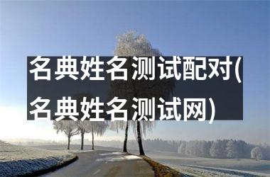 <h3>名典姓名测试配对(名典姓名测试网)