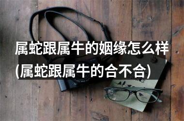 <h3>属蛇跟属牛的姻缘怎么样(属蛇跟属牛的合不合)