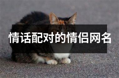 <h3>情话配对的情侣网名