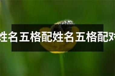 <h3>姓名五格配姓名五格配对
