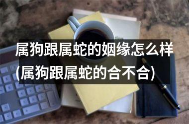 <h3>属狗跟属蛇的姻缘怎么样(属狗跟属蛇的合不合)