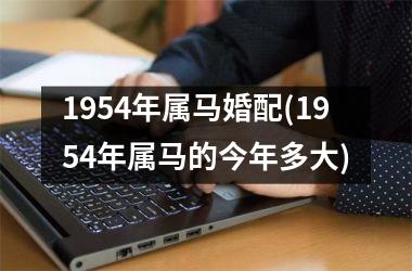 1954年属马婚配(1954年属马的今年多大)