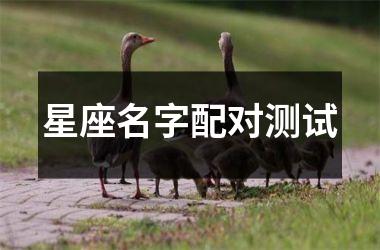 <h3>星座名字配对测试