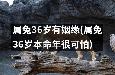 属兔36岁有姻缘(属兔36岁本命年很可怕)
