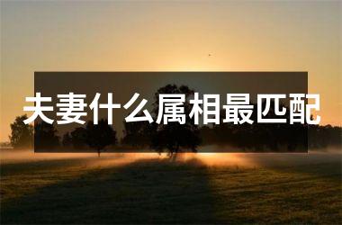 夫妻什么属相匹配