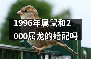 <h3>1996年属鼠和2000属龙的婚配吗