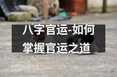 <h3>八字官运-如何掌握官运之道