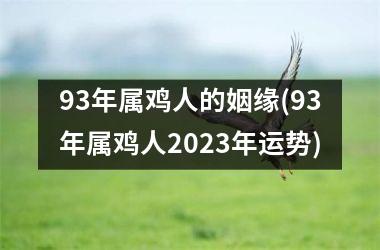 <h3>93年属鸡人的姻缘(93年属鸡人2025年运势)