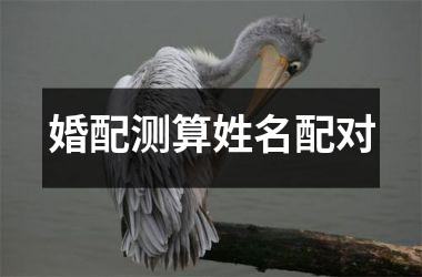 <h3>婚配测算姓名配对