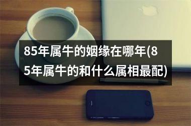 85年属牛的姻缘在哪年(85年属牛的和什么属相配)