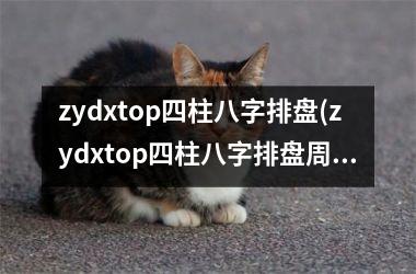 <h3>zydxtop四柱八字排盘(zydxtop四柱八字排盘周易大学)