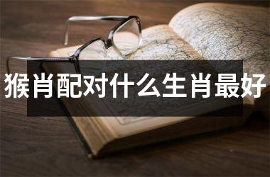 猴肖配对什么生肖好
