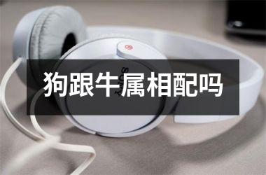 <h3>狗跟牛属相配吗