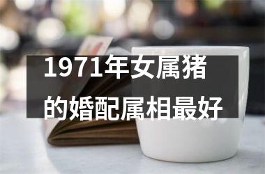 1971年女属猪的婚配属相好