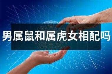 男属鼠和属虎女相配吗