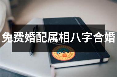 <h3>免费婚配属相八字合婚