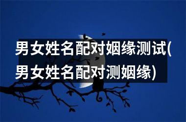 男女姓名配对姻缘测试(男女姓名配对测姻缘)