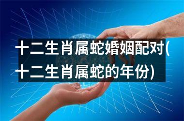 十二生肖属蛇婚姻配对(十二生肖属蛇的年份)