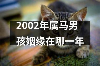 <h3>2002年属马男孩姻缘在哪一年