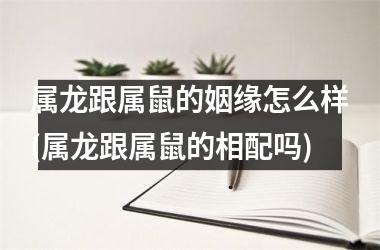 <h3>属龙跟属鼠的姻缘怎么样(属龙跟属鼠的相配吗)