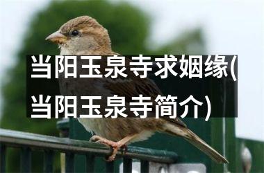 <h3>当阳玉泉寺求姻缘(当阳玉泉寺简介)