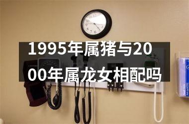 <h3>1995年属猪与2000年属龙女相配吗