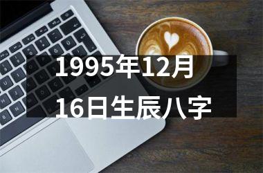 <h3>1995年12月16日生辰八字