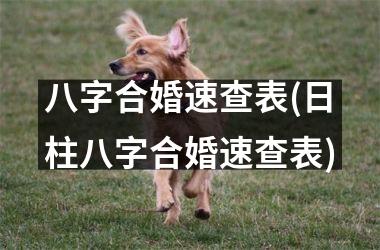 <h3>八字合婚速查表(日柱八字合婚速查表)