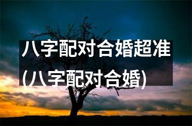 <h3>八字配对合婚超准(八字配对合婚)
