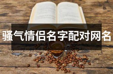 骚气情侣名字配对网名