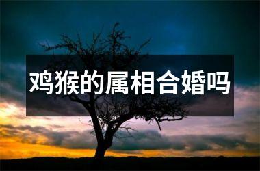 鸡猴的属相合婚吗